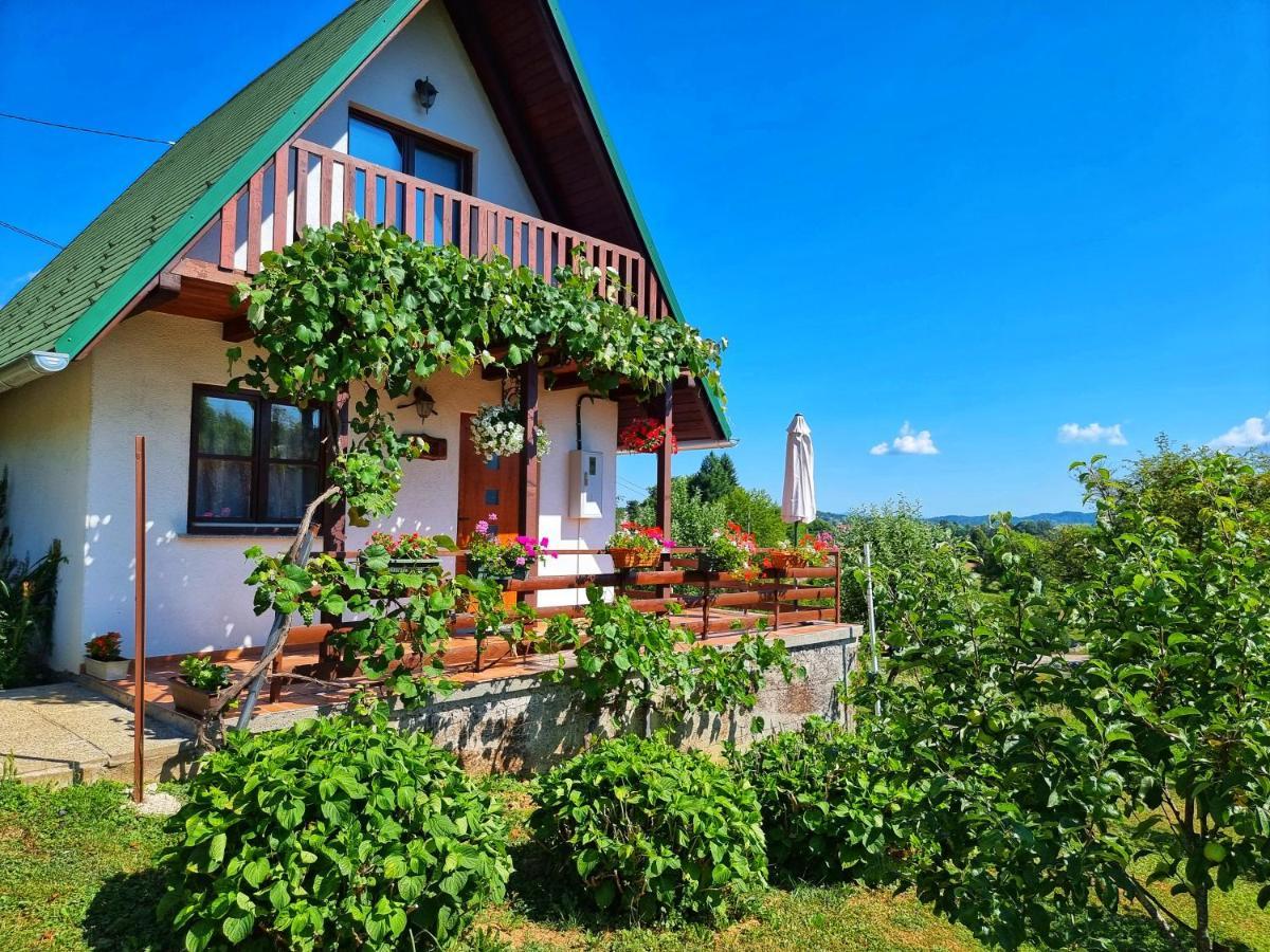 Guesthouse Mreznica- Mreznicka Idila Resort Galović-Selo Kültér fotó