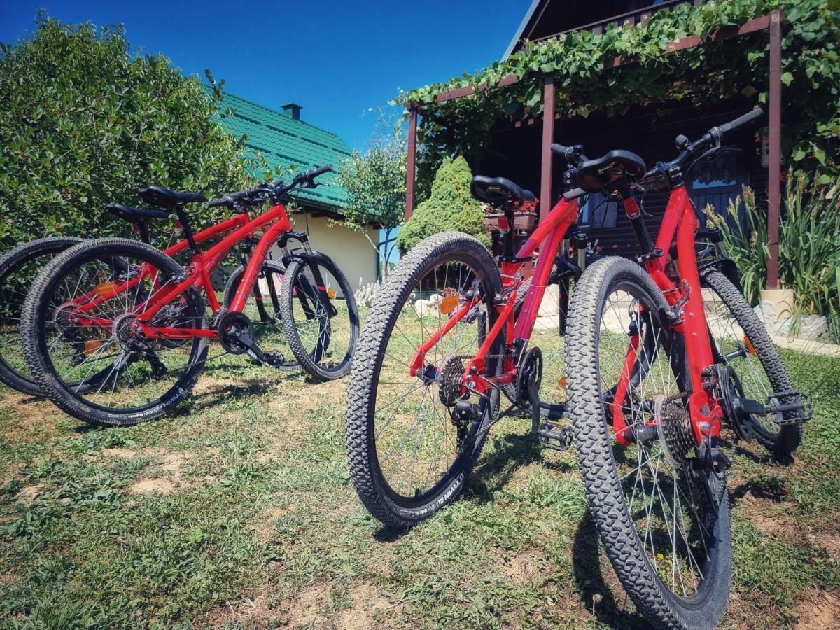Guesthouse Mreznica- Mreznicka Idila Resort Galović-Selo Kültér fotó