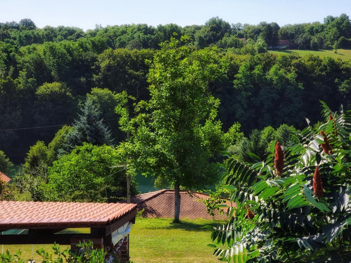 Guesthouse Mreznica- Mreznicka Idila Resort Galović-Selo Kültér fotó